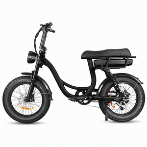 A black step-through electric bicycle with fat tires, a rear storage battery, and a black seat, shown from a side profile on a white background.