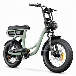 Front three-quarter view of a moss step-through electric bike with wide fat tires, round LED headlight, and high handlebars